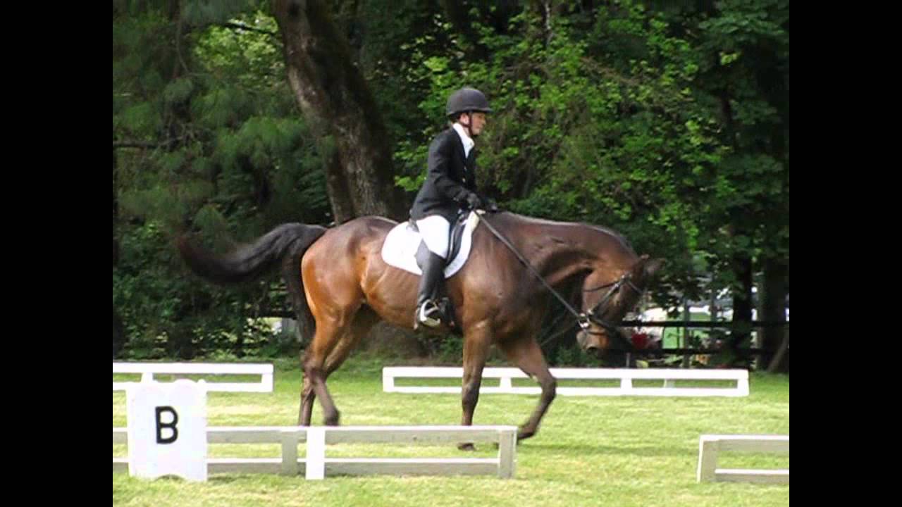 UC Davis 3 Day Team - Niki