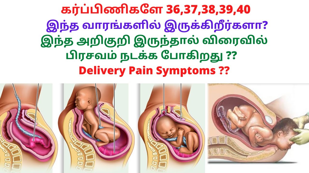 Delivery Pain Symptoms Tamil | 36 weeks is how many months | 9 month Pregnancy symptoms in Tamil