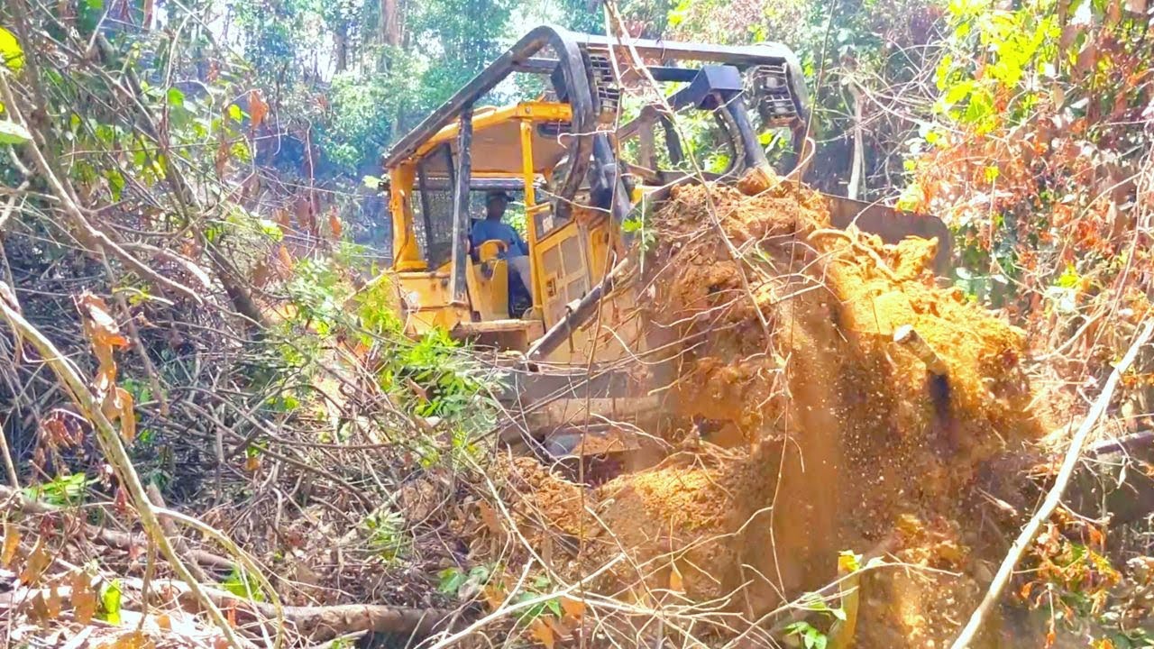 The Operator Doing an Excellent Job When Constructing a Plantation Road  Using a CAT D6R Dozer