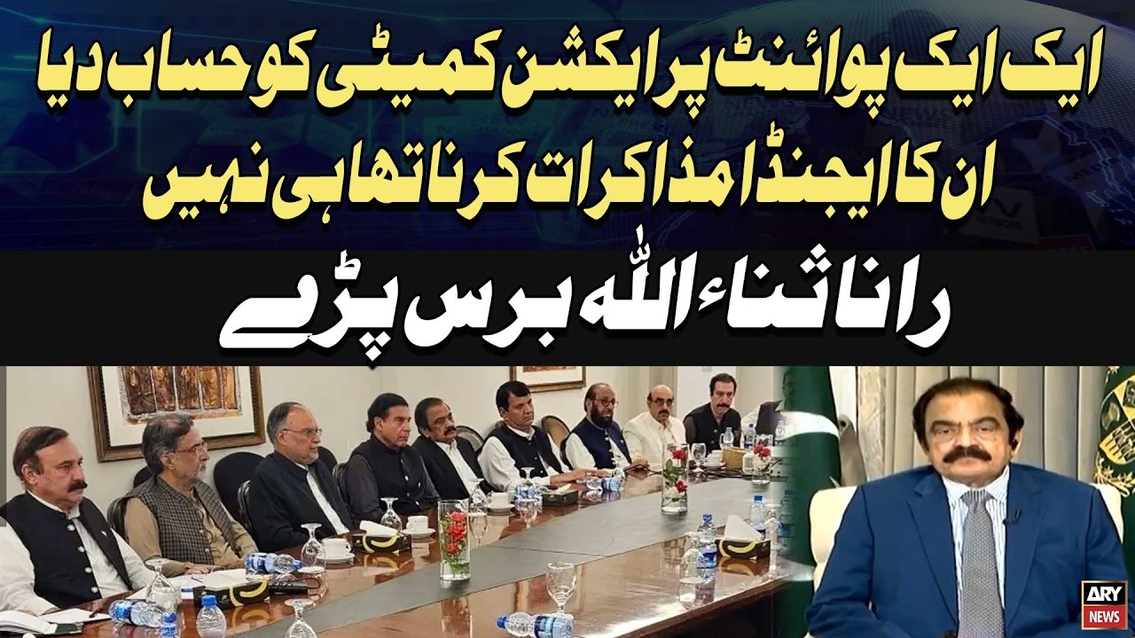 Big Statement: Rana Sanaullah Reacts Strongly to Action Committee