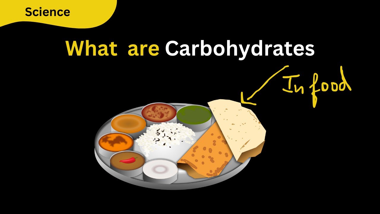 Exploring Food: What are Carbohydrate and Glucose? | Class 9 & 10 Science