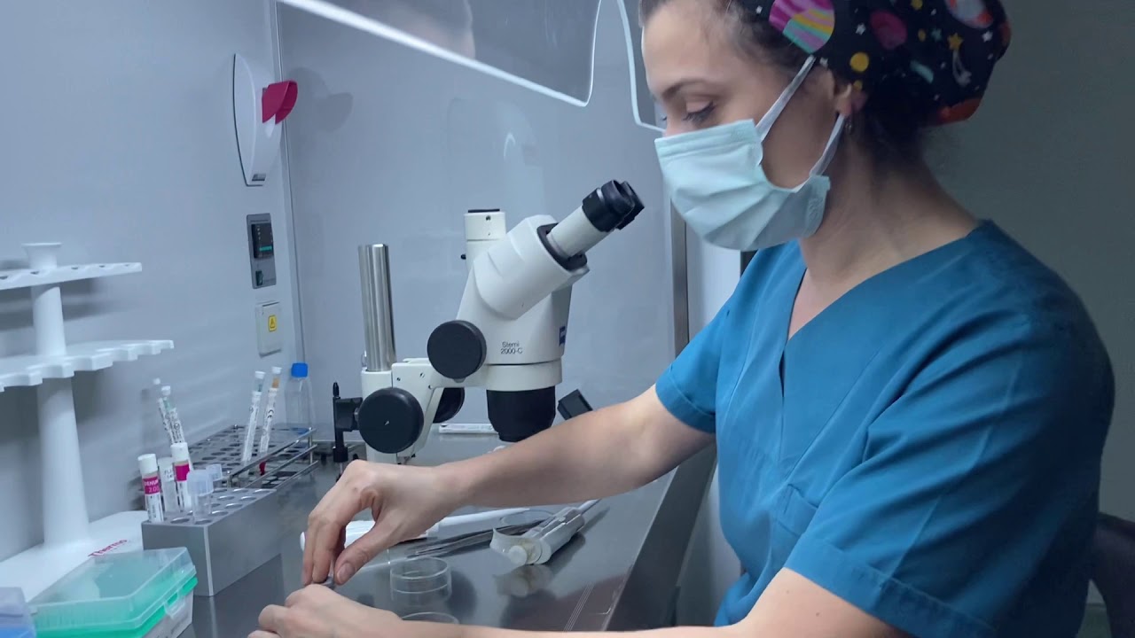 Az sayıda sperm dondurma yöntemi olarak SpermVD