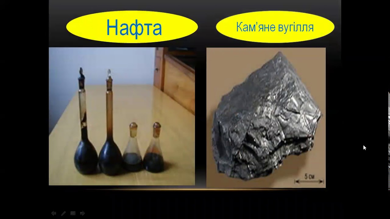 Природознавство (4 клас). Північна Америка. Рослинний і тваринний світ Північної Америки