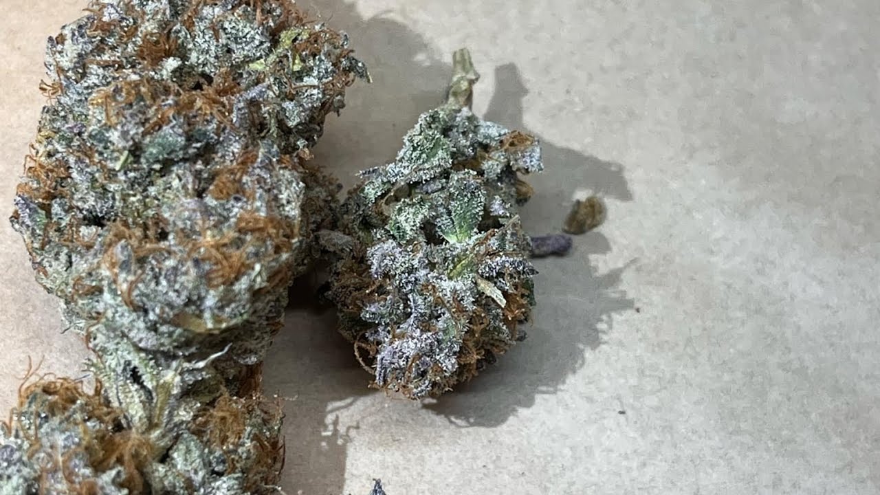 harvest trim dry weight results ice cold, NFSHEEESH
