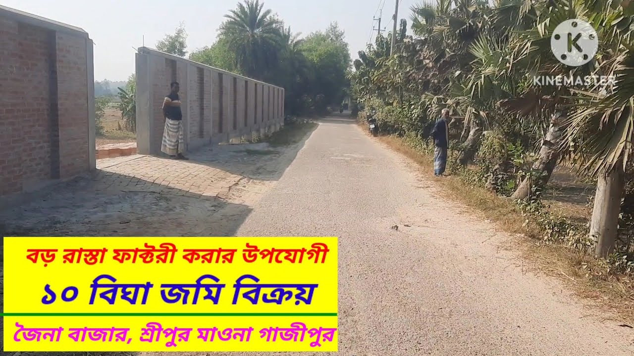 ১০ বিঘা জমি বিক্রি।। জৈনা বাজার।। শ্রীপুর গাজীপুর#asset seller#Land sale Sreepur Gazipur