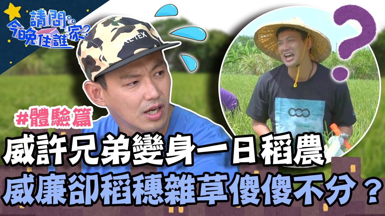 青農十大好米！威許兄弟變身一日稻農割草？威廉卻稻穗雜草傻傻不分？【請問 今晚住誰家】體驗篇 20221031 EP639 Part4 許效舜 威廉