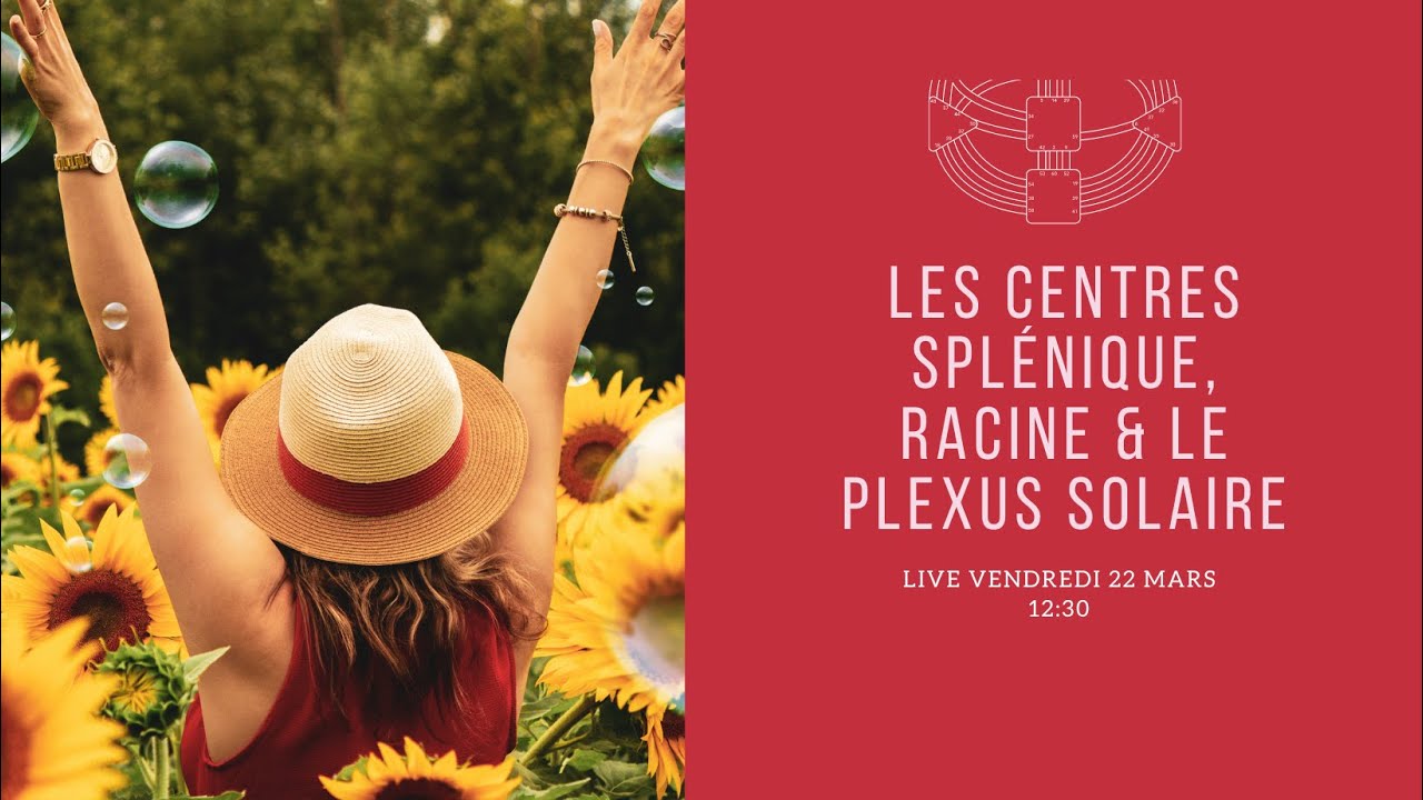 Centre splénique, plexus solaire et centre racine