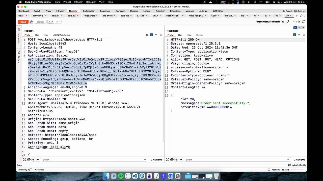 OpenApi (JSON) Definition scanning via BurpSuite | OWASP Top 10 API