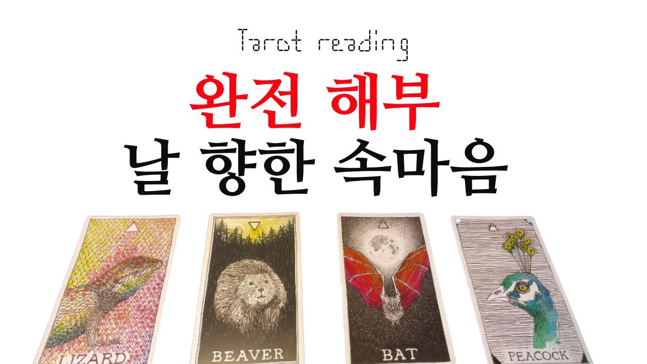 타로 - 상대방의 속마음 해부(멤버십우선시청)(속마음:연애, 이별, 재회, 썸, 커플, 짝사랑 열린 리딩)