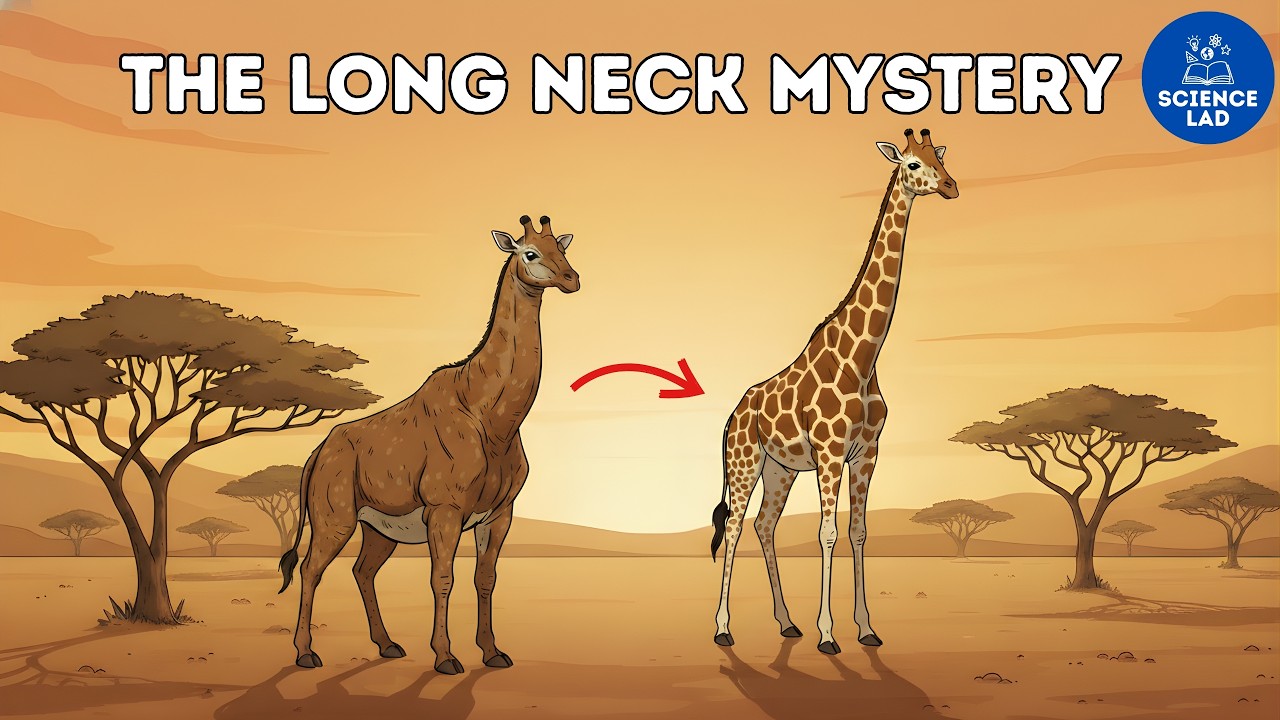 The True Story of How and Why Giraffes Got Their Ridiculously Long Necks
