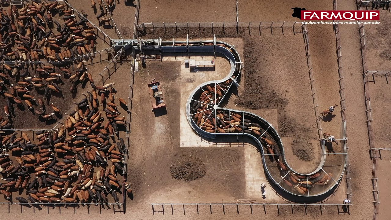 Imponente Feedlot en Joaquín V. González