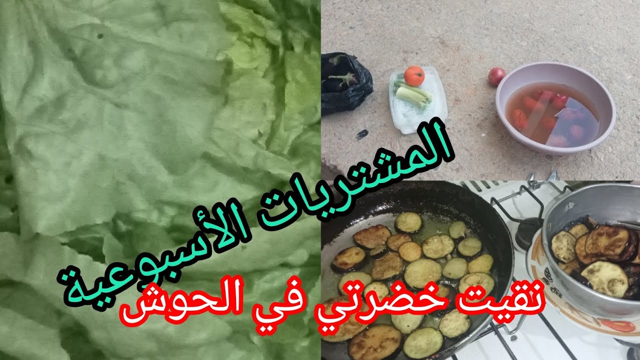 مشترياتي الأسبوعية نقيت خضرتي في الحوش الخيمة ما عجبهاش الجواز 