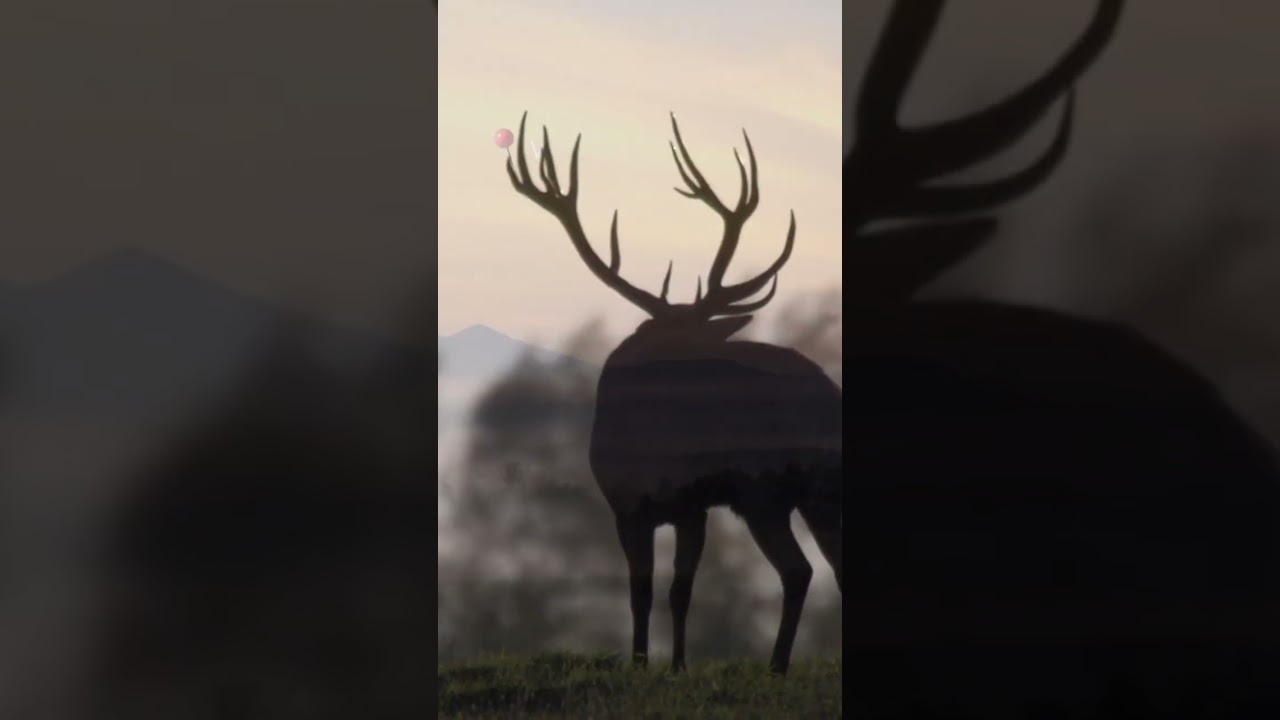 Rewilding In Croatia&rsquo;s Velebit Region Is Gaining Momentum