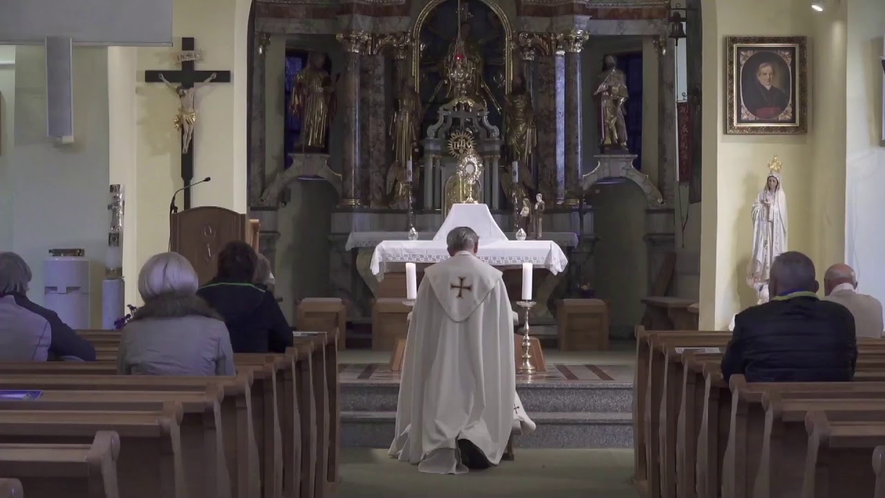 Prvosobotna fatimska pobožnost, g. Peter Leskovar, oktober