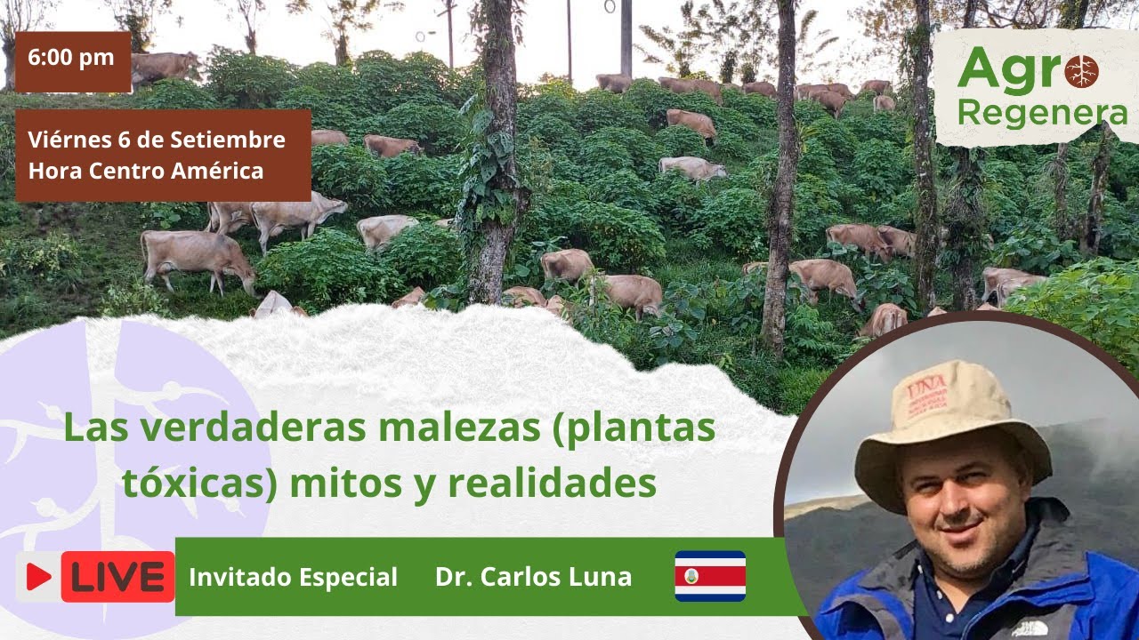 Las verdaderas malezas. Plantas t&oacute;xicas de alto riesgo