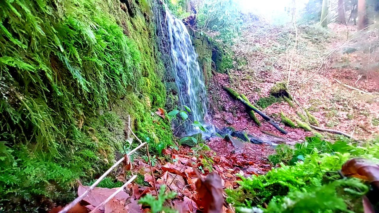 #subscribe#relaxing#water#viral#travel#germany#s