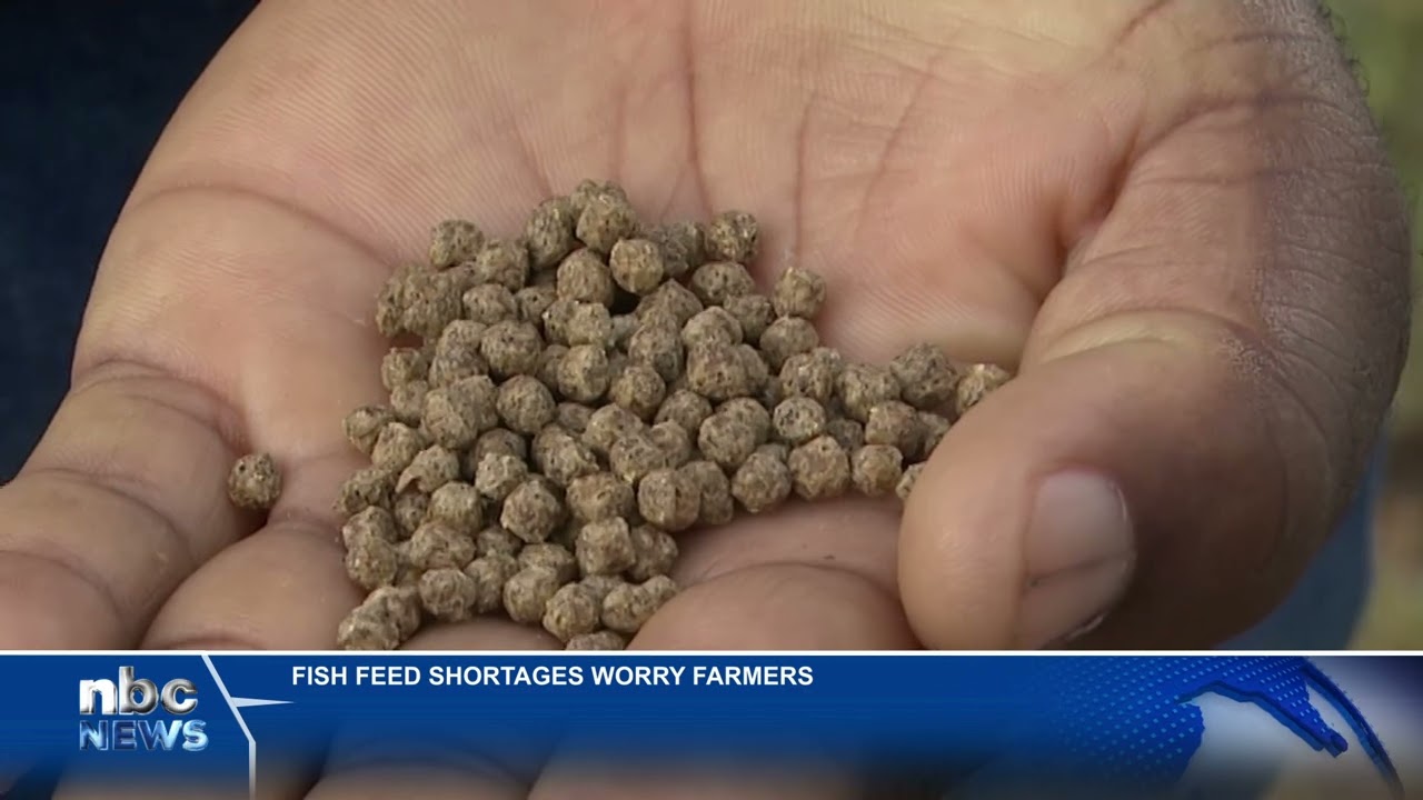 Fish farmers in Kavango East rely on natural pond plants for six months - nbc