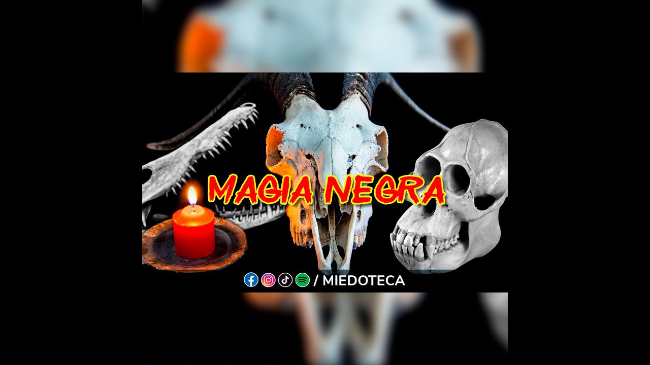 La Mano Peluda (UNPLUGGED)  El espeluznante mercado vudú #lamanopeluda / 2300