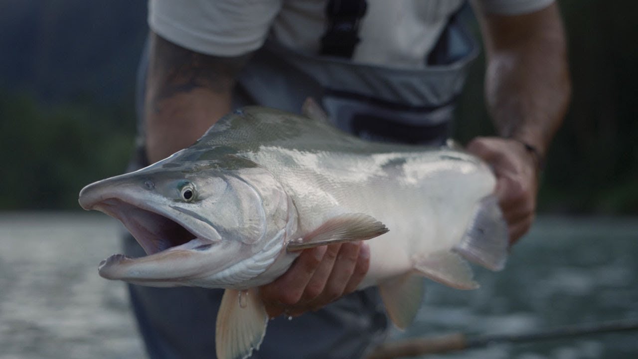 Fishing BC Presents: Swinging Flies for Salmon in Squamish with Chromer Sport Fishing