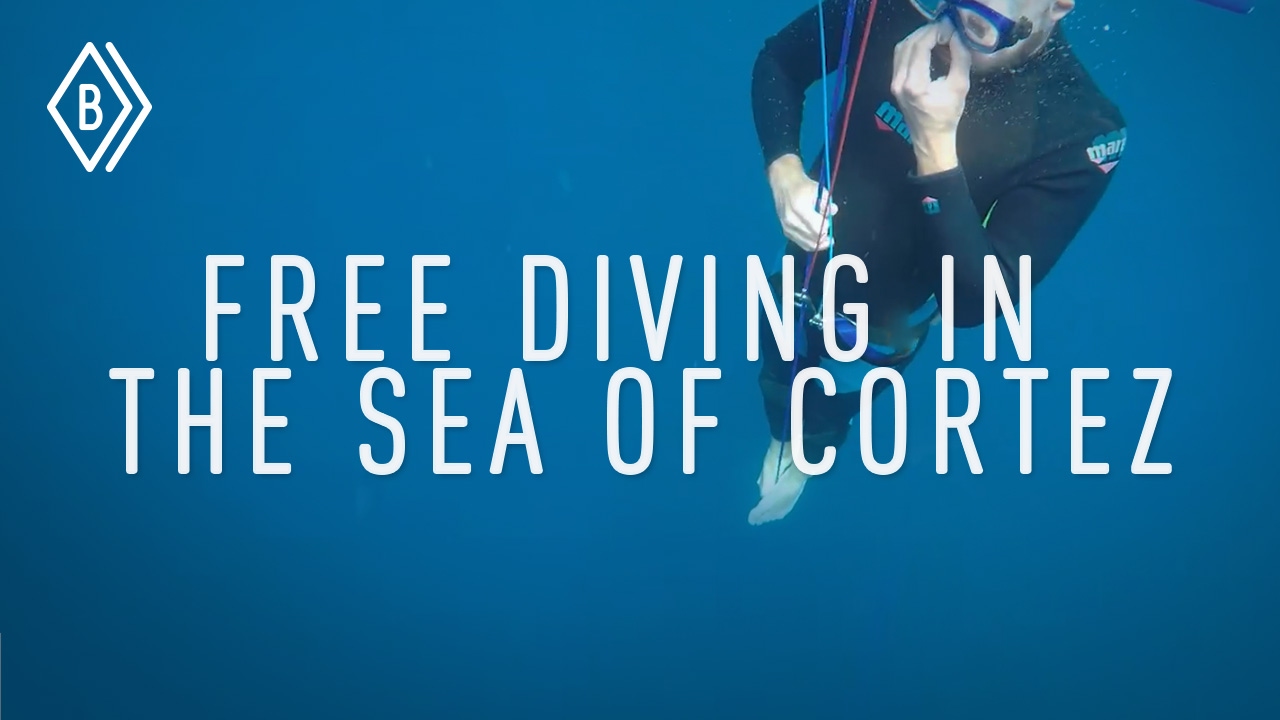 Going deep: free diving for the first time in the Sea of Cortez! - EP 3/4