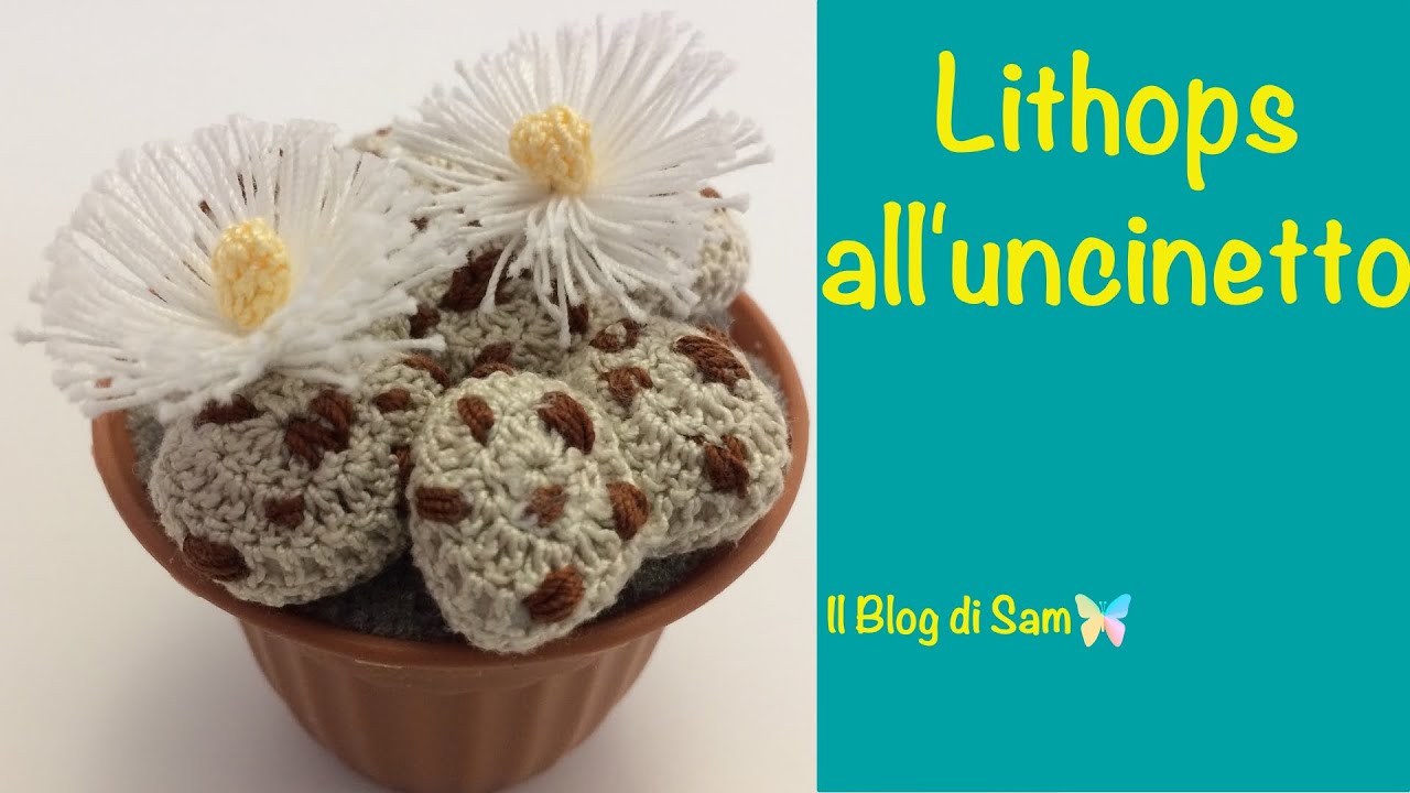 Spiegazione del Lithops all'uncinetto