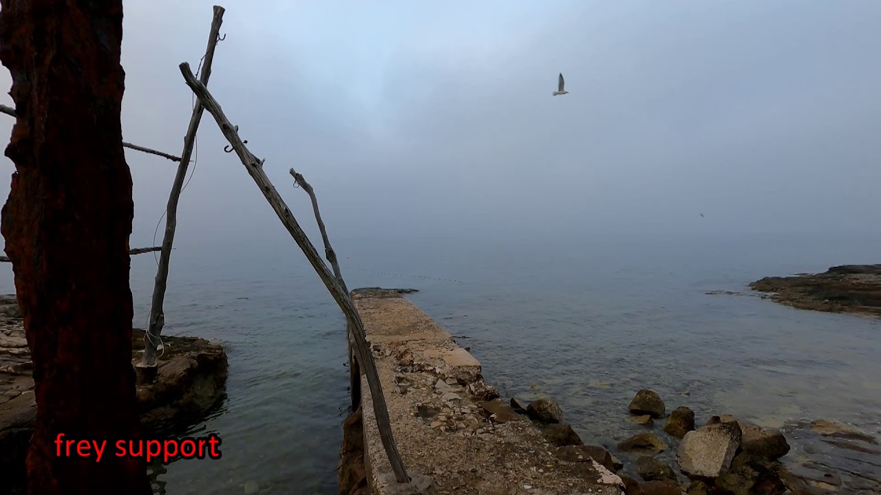 SVJETIONIČAR