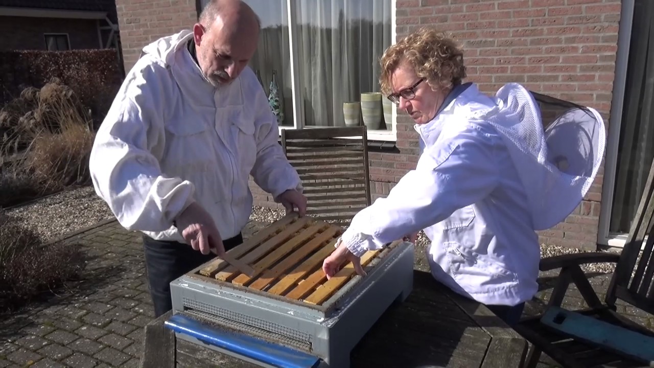 Bodem kunststof bijenkast verwisselen: nodig voor de hygiene van een bijenvolk