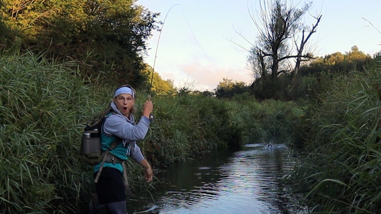 IOWA DRIFTLESS REGION: THE RAREST TROUT IN THE STATE (Fly Fishing South Pine Creek, Decorah Iowa)