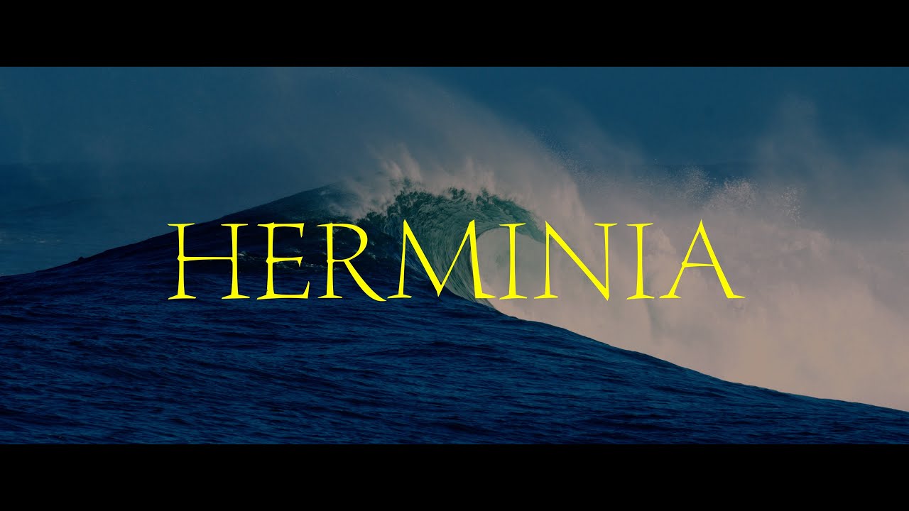 HERMINIA