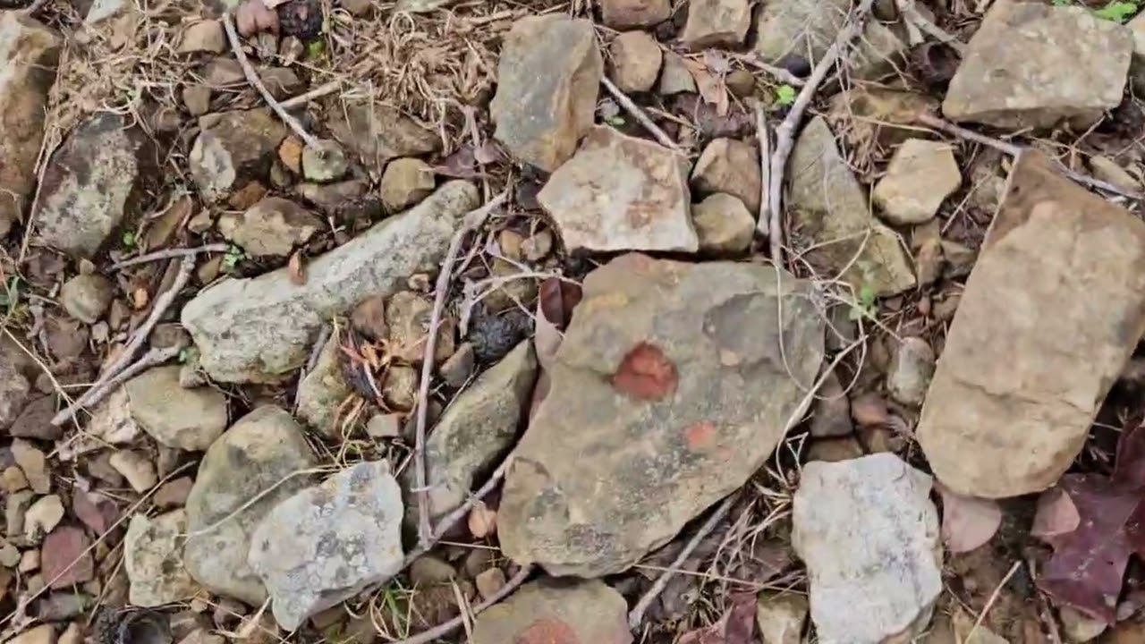 The Nutria Conundrum