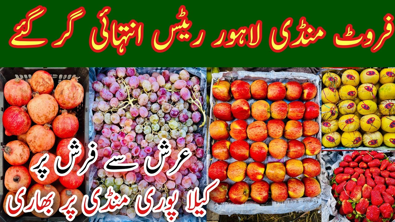 Fruit Market Lahore Latest Video, Lahore Fruit Mandi Rates Today, Fruit Mandi Lahore, Mr Phirtu