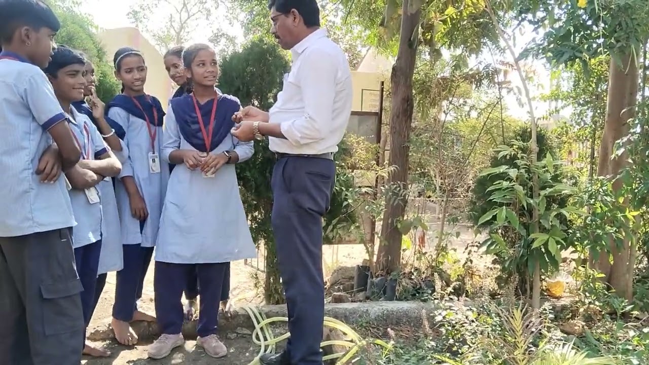 शाळेतील औषधी वनस्पती माहिती 
