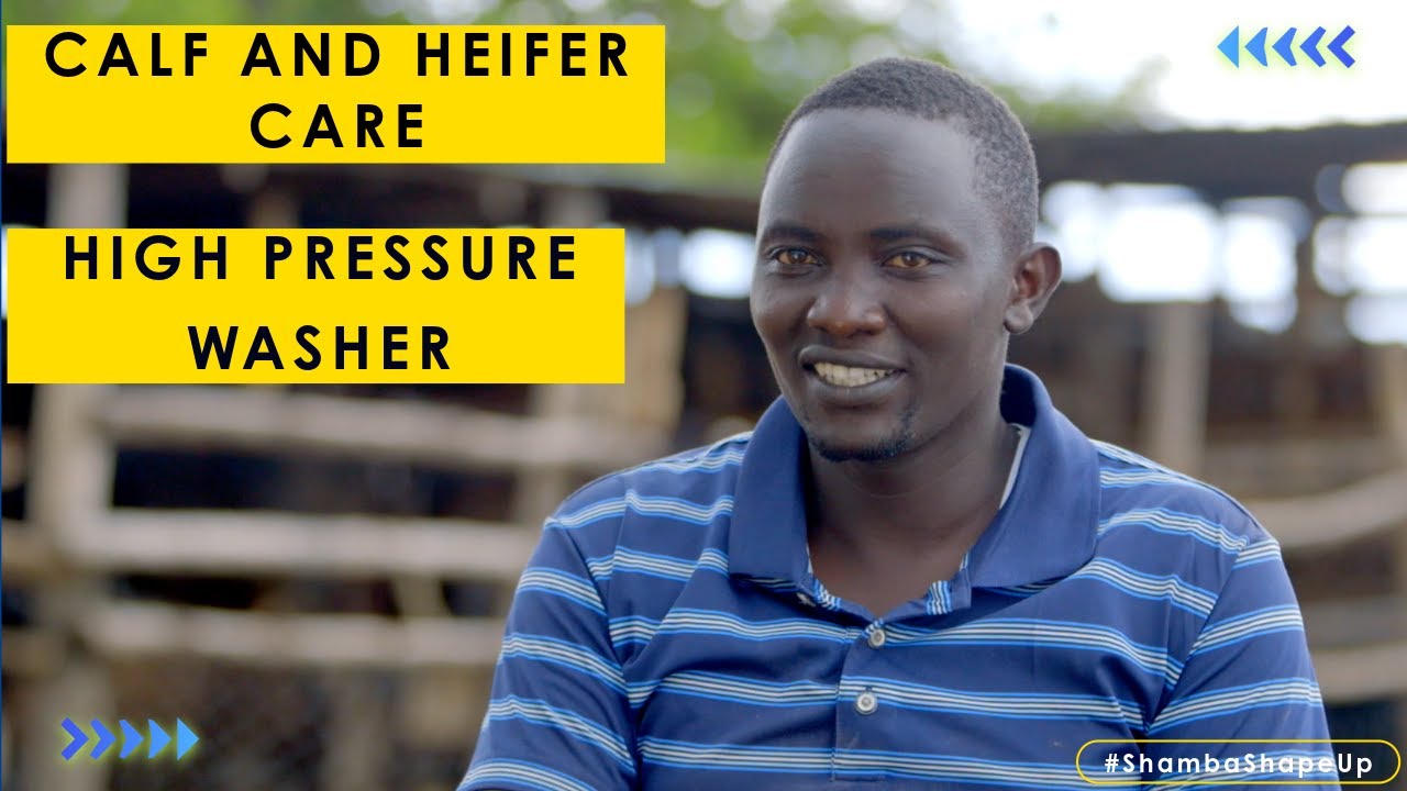Shamba Shape Up Season 15 – Episode 17: Calf & Heifer Care and High pressure washer (Swahili)