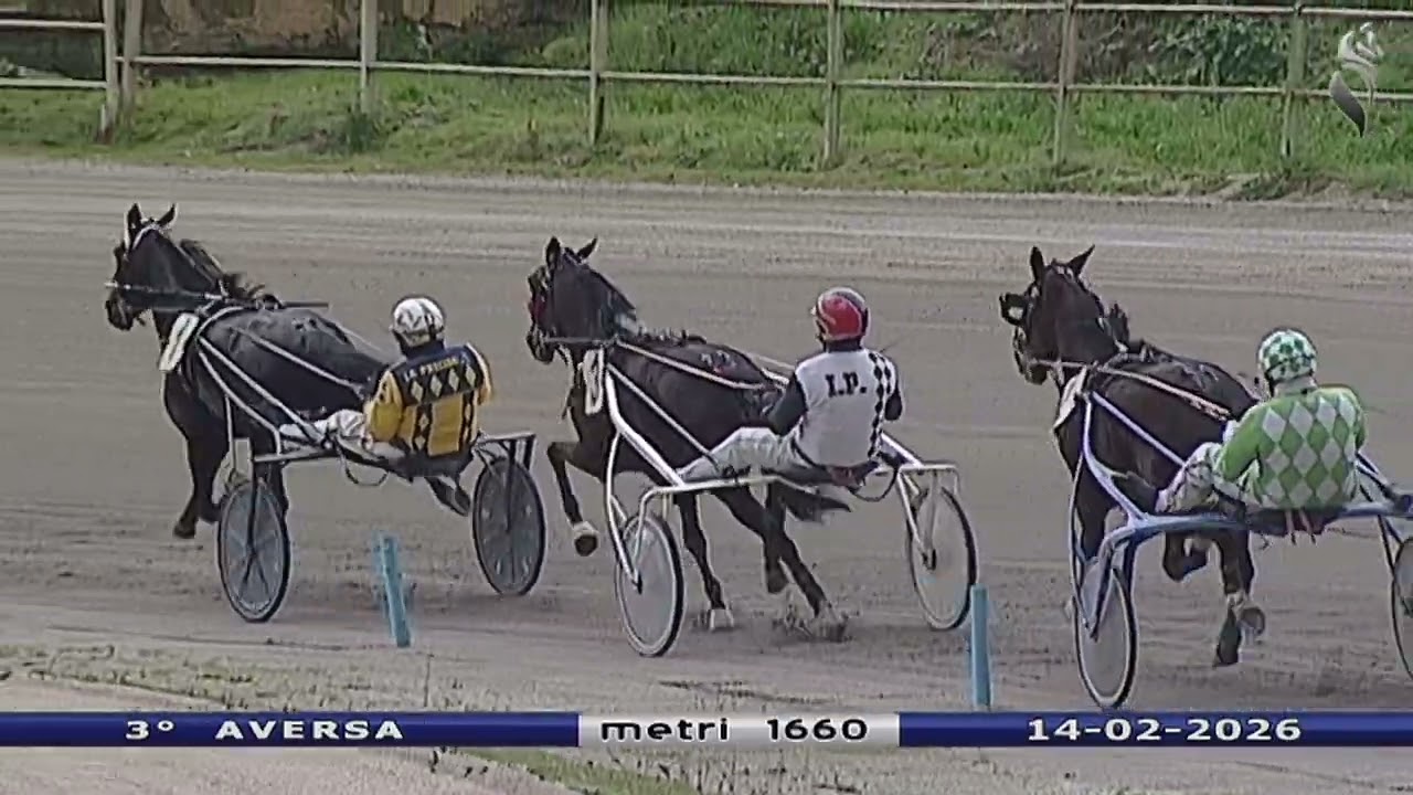 Aversa trotto 14 Febbraio 2026 - 3° Corsa