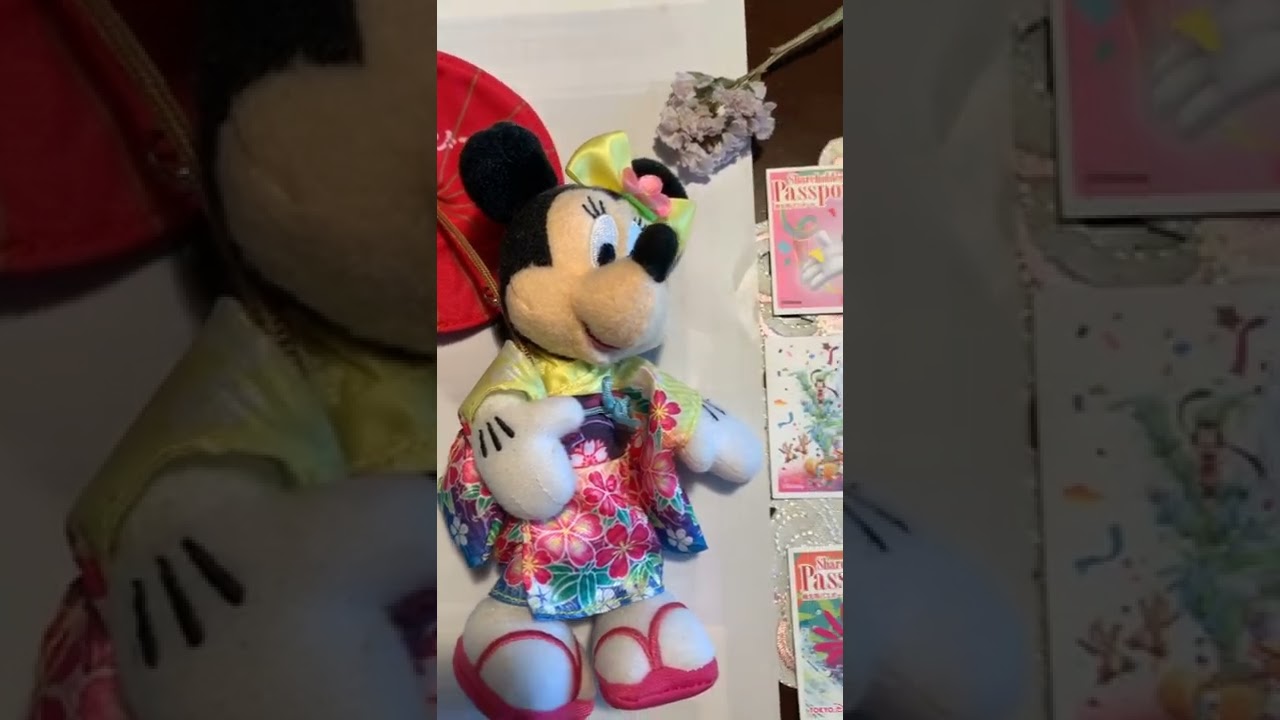Disneyresort
