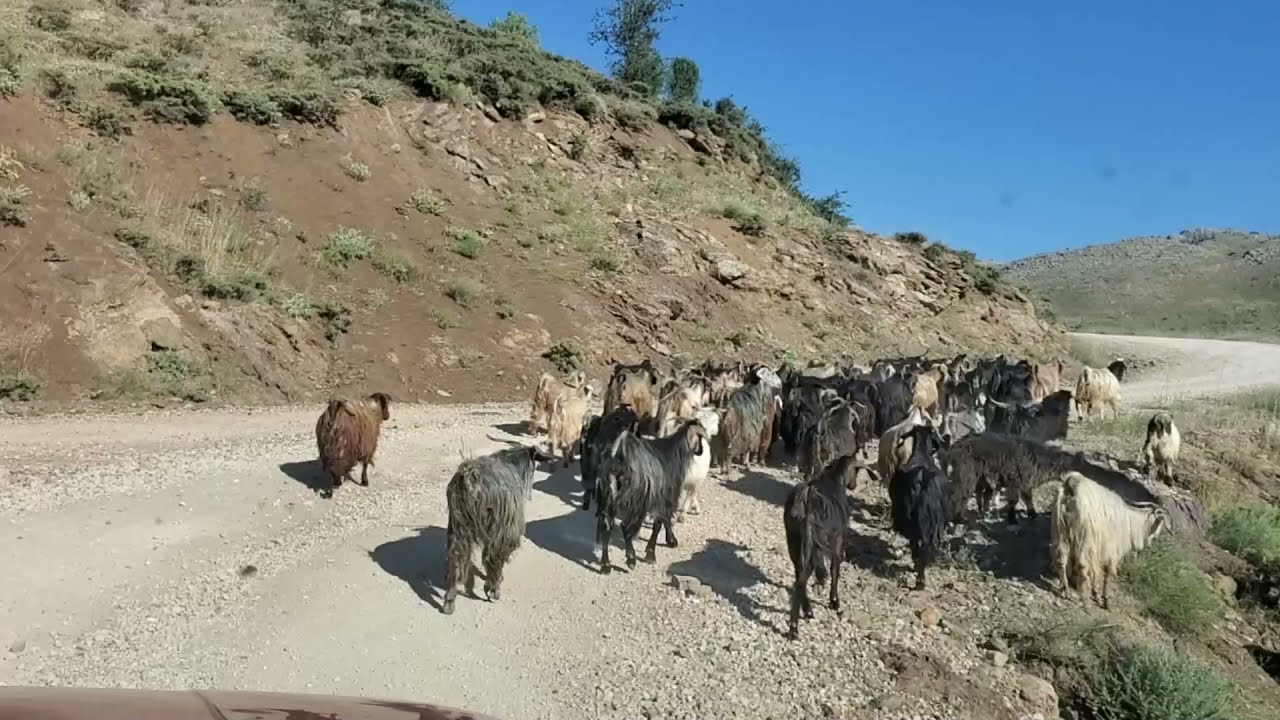 Çet Yolunda Şiir Tadında