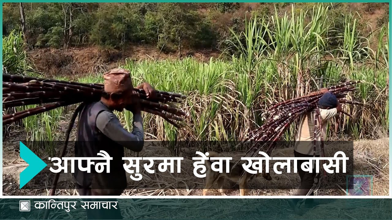 आश्वासनमात्रै बाँड्ने नेताका कारण हेंवा खोलाका किसानलाई छोएन चुनावले | Kantipur Samachar