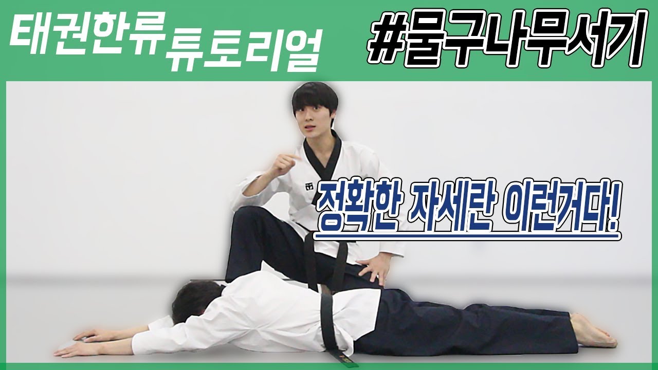 기계체조 선수에게 직접 배운 물구나무서기! [태권한류_튜토리얼]