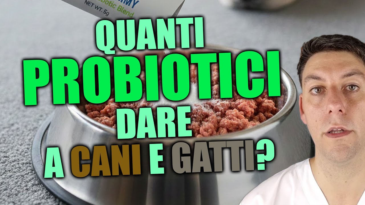 Probiotici per Cani e Gatti: quanti fornirne e per quanto tempo?