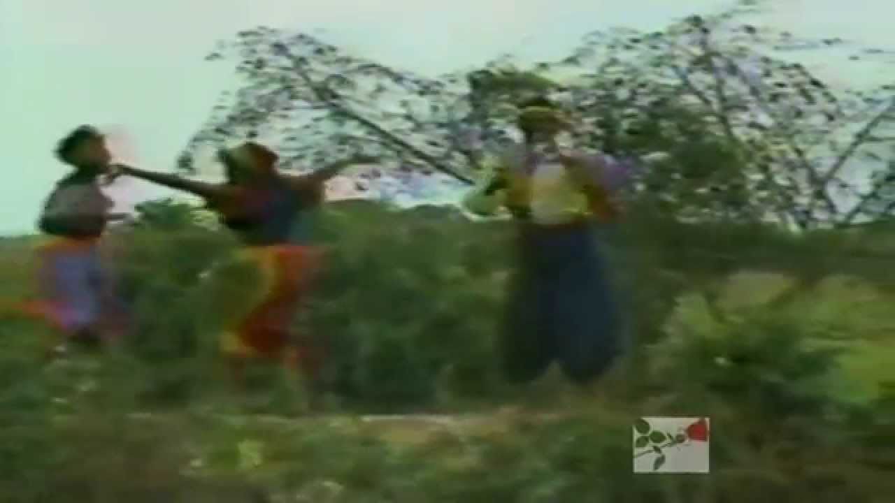 Wilfrido Vargas~ classic Video 
