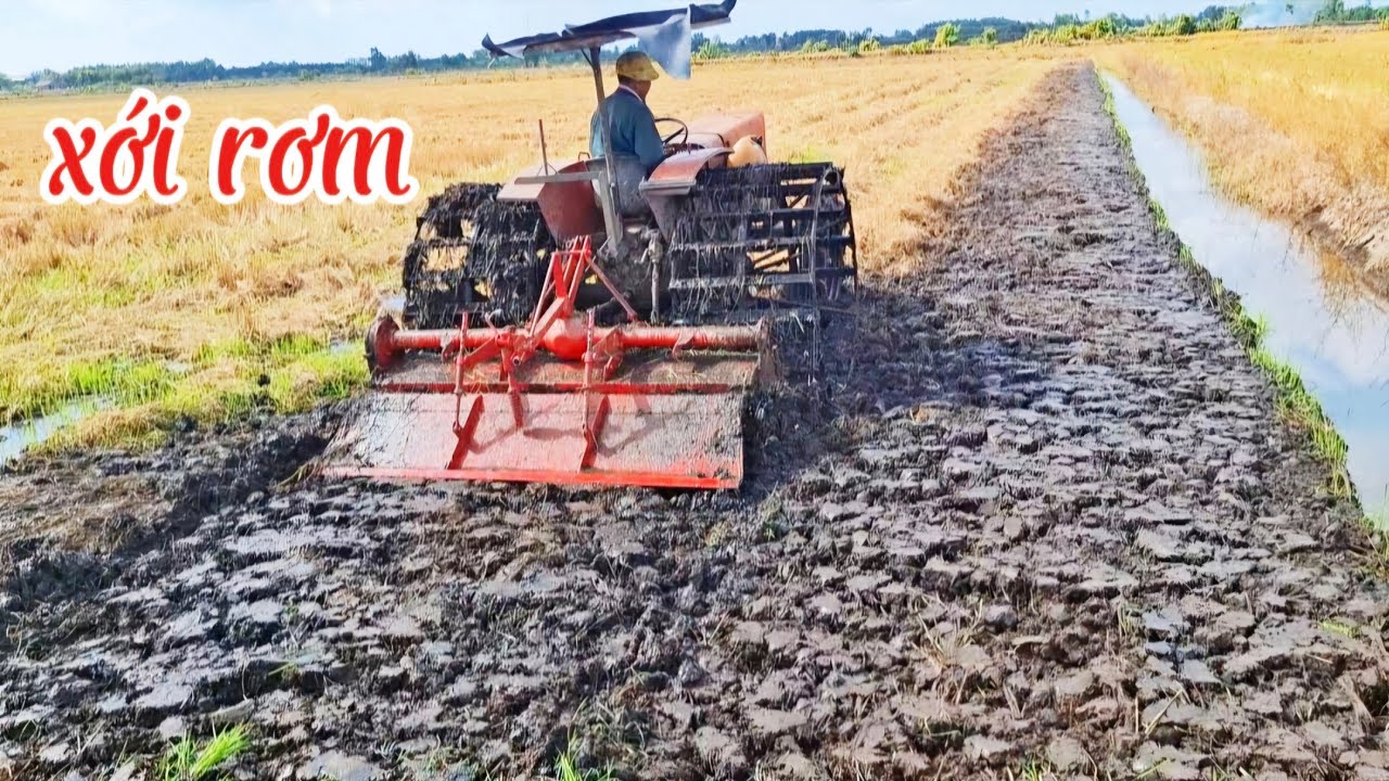 Máy xới shibaura  xới rơm nguyên chất cực đẹp