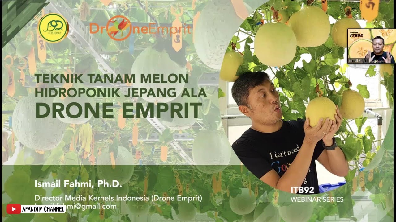 Budidaya Melon Hidroponik Jepang ala Drone Emprit || Ismail Fahmi
