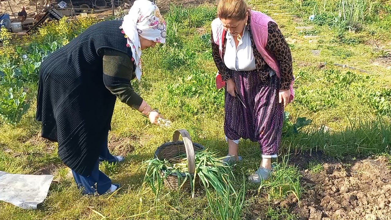 Antep yemegi şiveydiz taze sarımsak et nohut nefis‼️‼️‼️