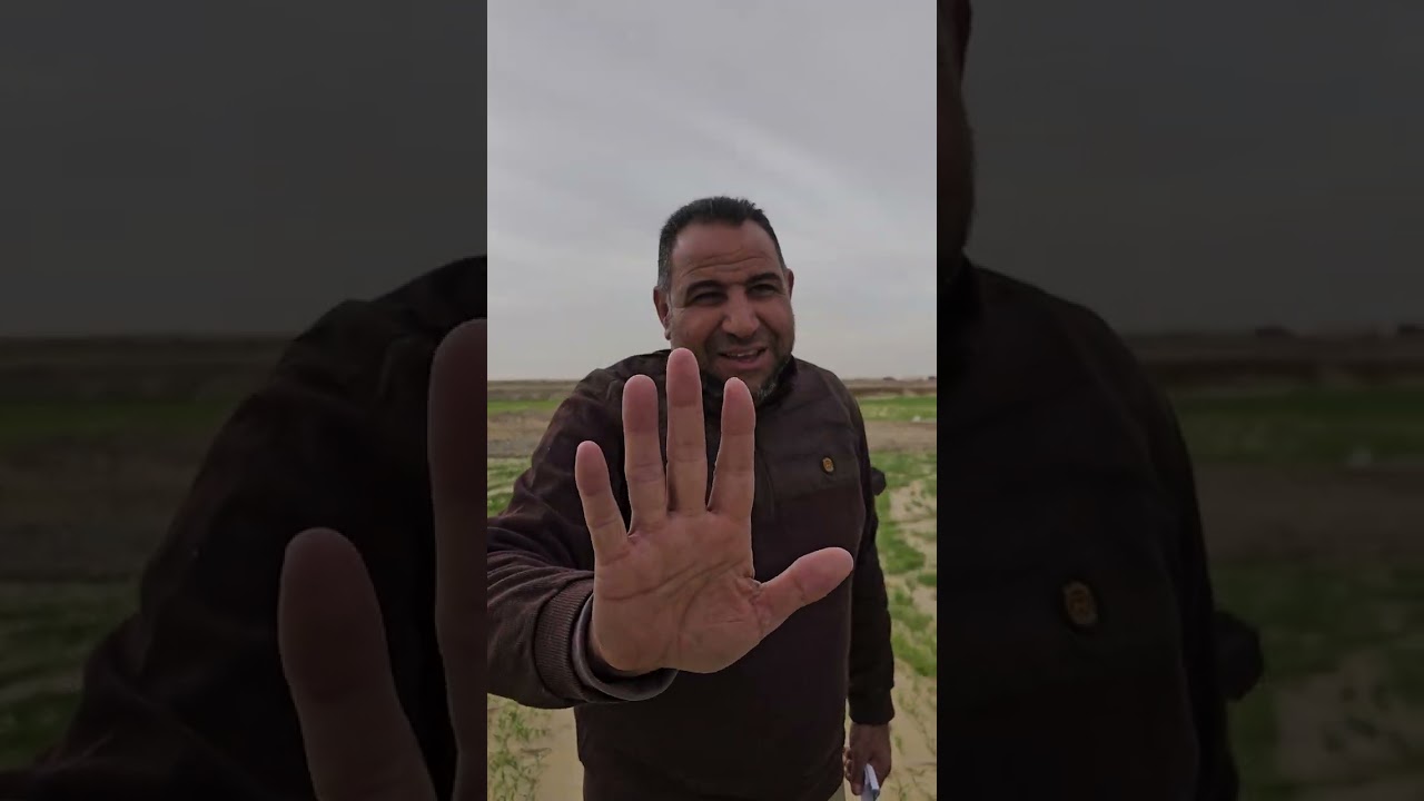 بيع قراطين في بحري واشتري فدانين vip بلس من شركة الفلاح وعيش منهم انت واهلك  للتواصل 01008791285