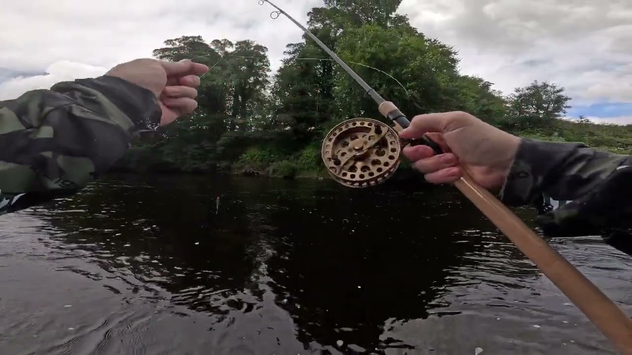 Trotting Meat Down the River Targeting Barbel and Chubb