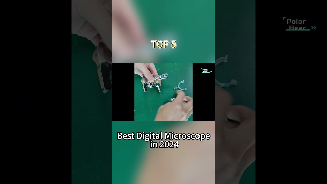 TOP 5 Best Digital Microscope in 2024