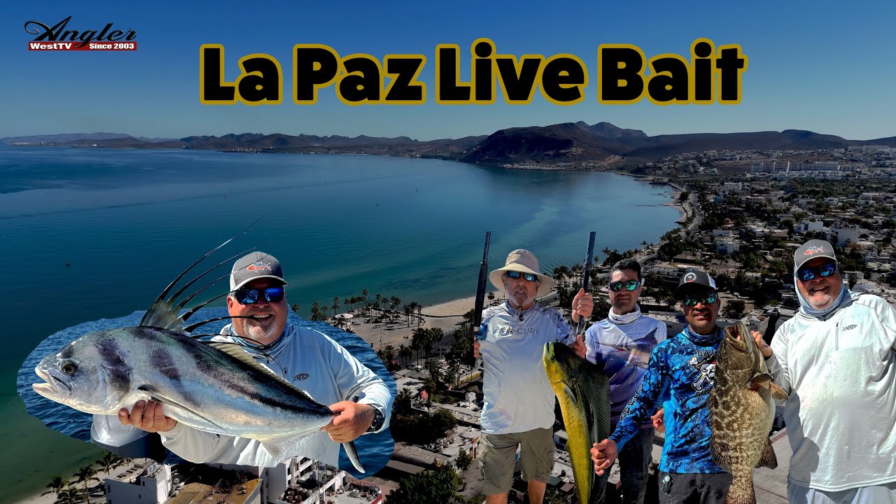 Baja Pirates Live Bait Fishing