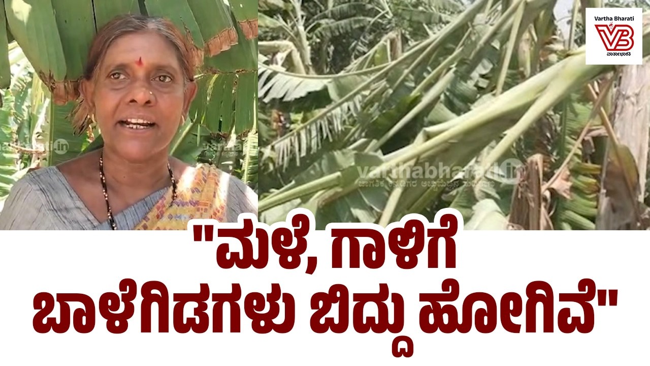 ಆಲಿಕಲ್ಲು ಮಳೆ ತಂದಿಟ್ಟ ಅವಾಂತರ : ಗದಗ ತಾಲೂಕಿನ ಬಿಂಕದಕಟ್ಟಿ ಗ್ರಾಮದ ರೈತರು ಕಂಗಾಲು
