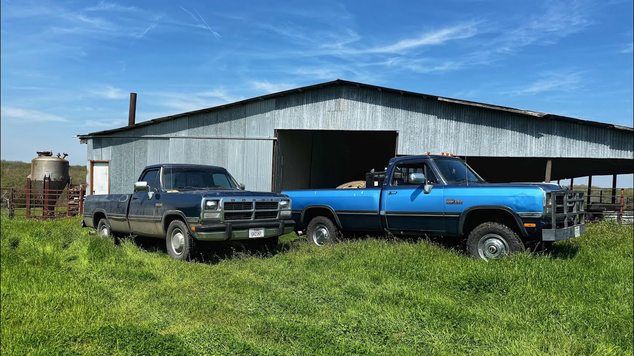 Exploring 2 LOW MILE 1991 W250 and 1992 D250 First Gen Cummins Trucks!