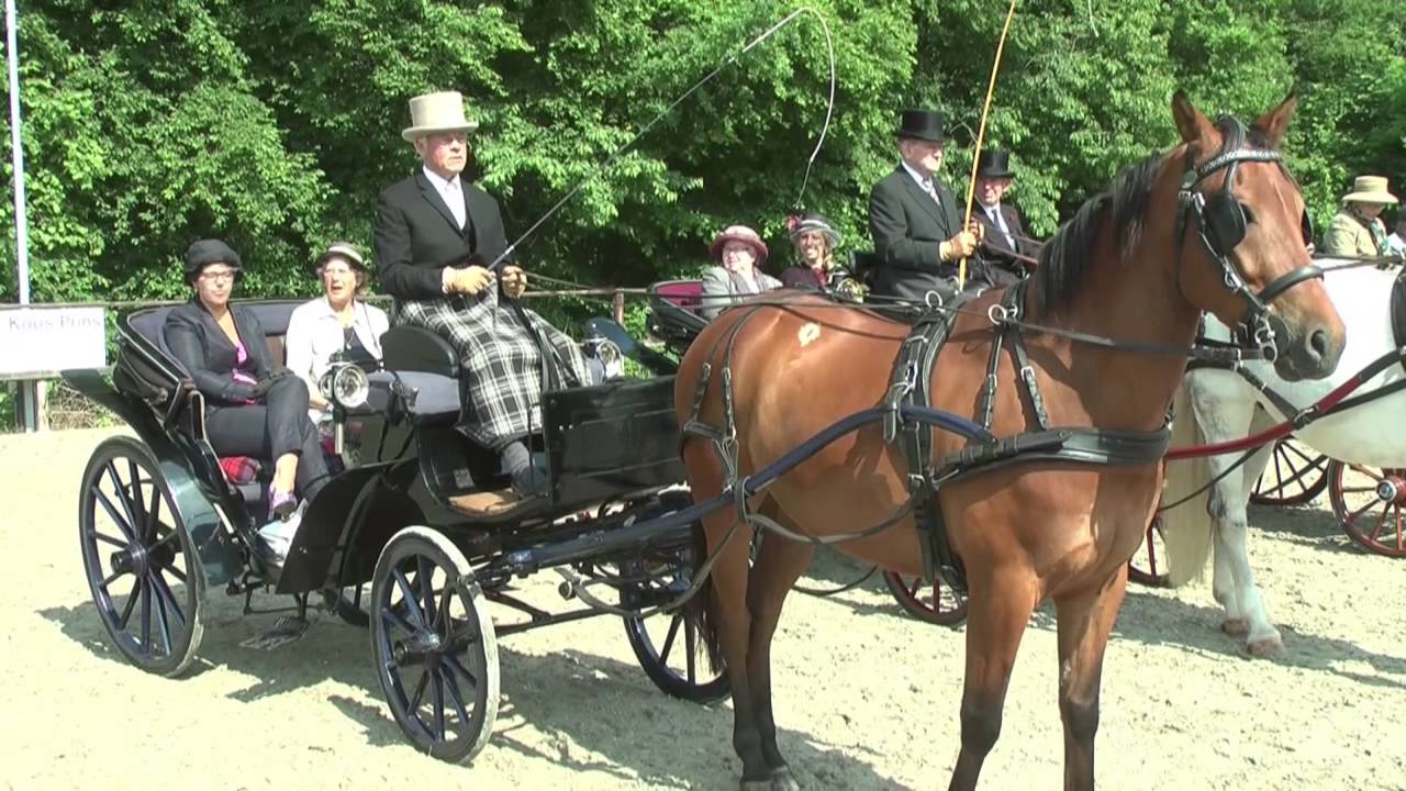Koetsentocht Oud Gerij
